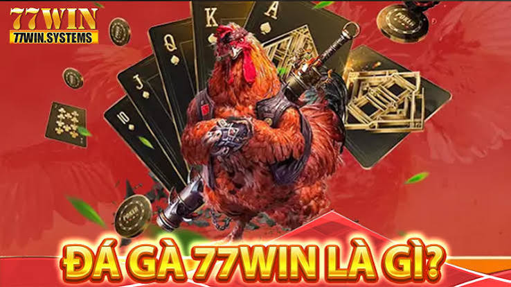Điểm Mạnh Của Đá Gà 77win